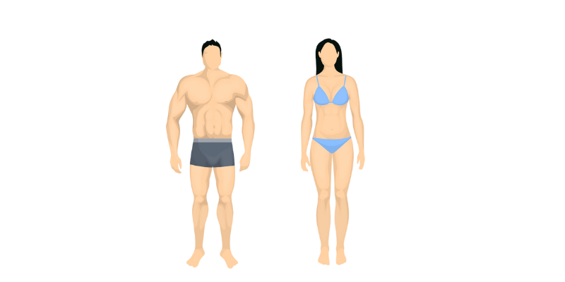 Endomorfo